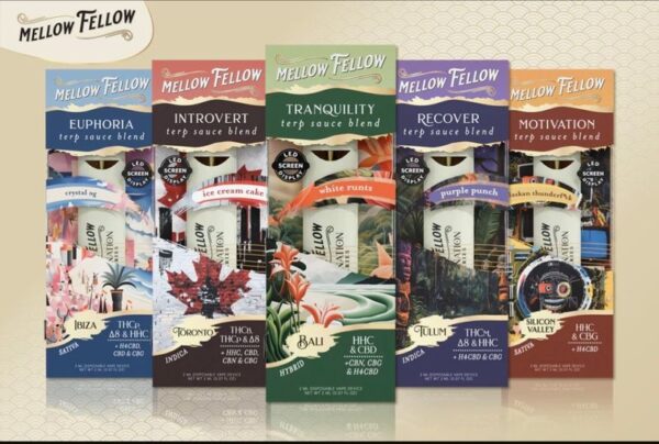Mellow Fellow 2G Terp Sauce Disposable